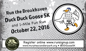 finalddgoose2016